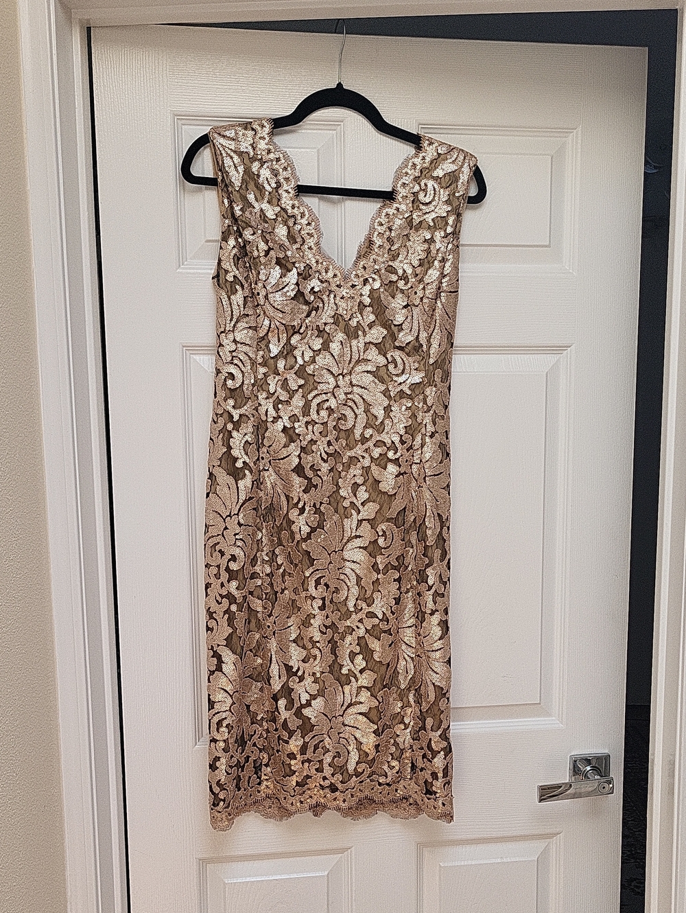 Tadashi Shoji Champagne and Gold Lace V-Neck Midi Dress